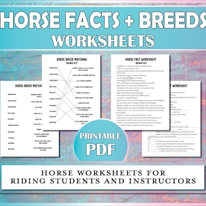 Horse Facts and Horse Breeds Worksheets, Equestrian Printable Worksheet for Horse Camp, Riding Instructors, Horseback Lessons & Hippology