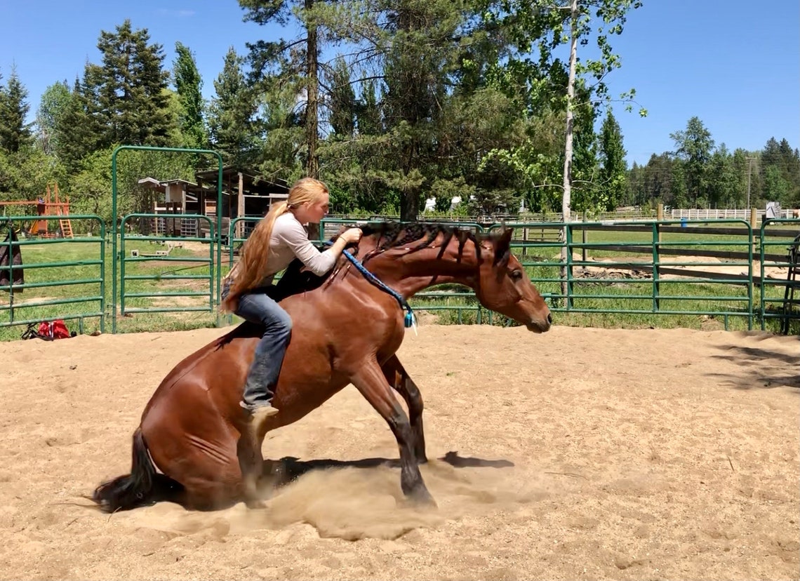 Horse Neck Rope for Tackless/bridleless Riding Neck Rope for Etsy