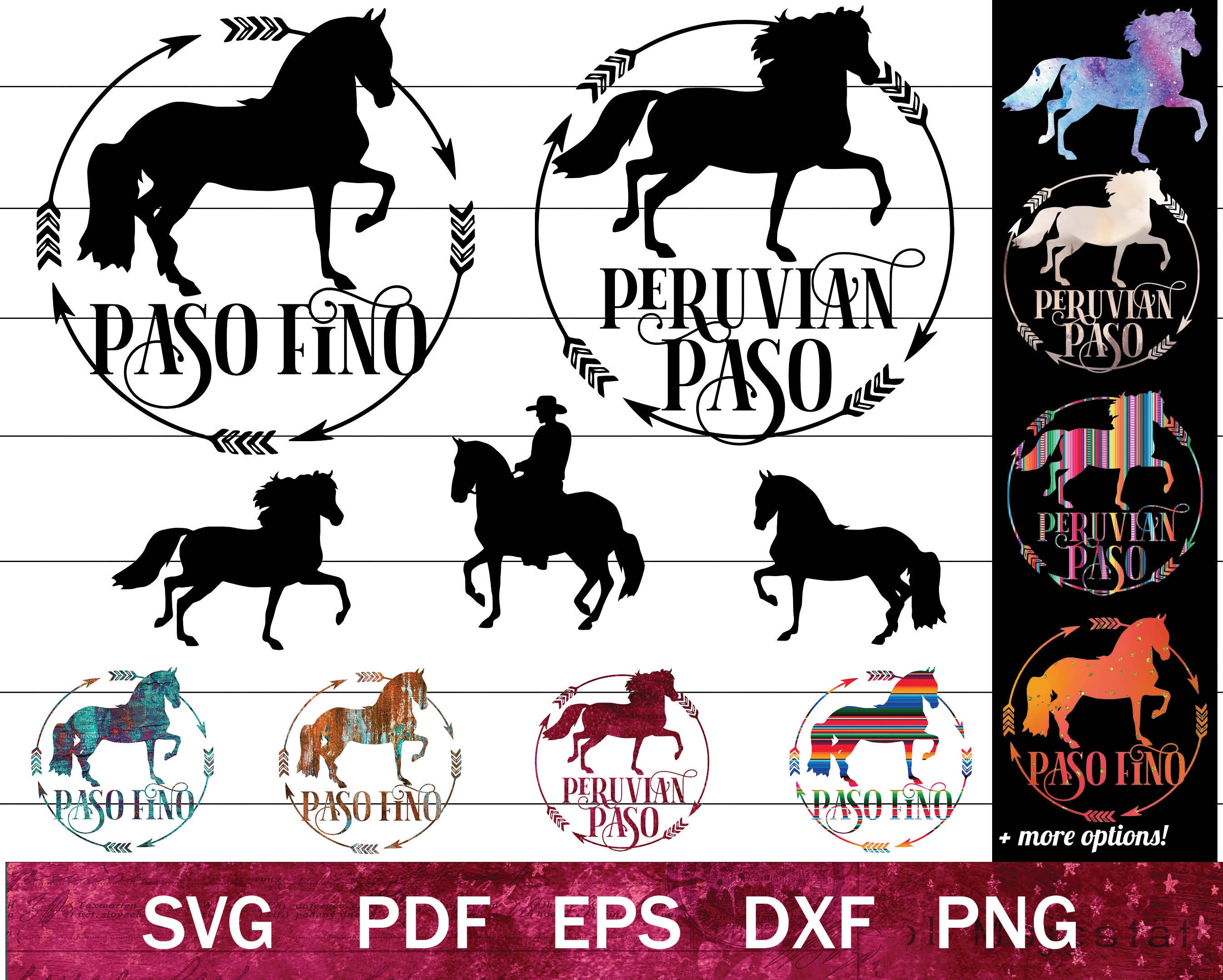 All About the Paso Fino - Horse Illustrated