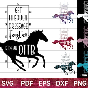 Do Dressage Faster OTTB SVG-Bundle, Vielseitigkeits-Designdateien, Off-Track-Vollblut-Silhouette, Vielseitigkeitspferd SVG png Clip Art