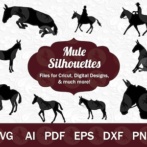 Muilezel SVG voor Cricut | Mule SVG Bundel: Zittend Mule SVG, springende muilezel svg, muilezel silhouet, muilezel hoofd svg, muilezel laser gesneden, muilezel voor cricut