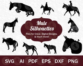 Mule SVG for Cricut | Mule SVG Bundle: Sitting Mule SVG, jumping mule svg, mule silhouette, mule head svg, mule laser cut, mule for cricut