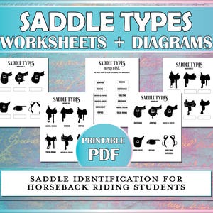 Horse Saddle Types Printable Worksheets, Western and English Tack Equestrian Diagrams and Worksheets for Horse Camp & Riding Lessons