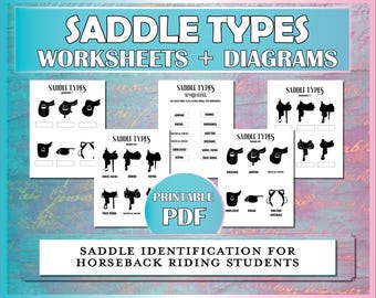 Horse Saddle Types Printable Worksheets, Western and English Tack Equestrian Diagrams and Worksheets for Horse Camp & Riding Lessons