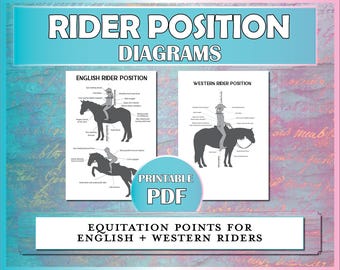 May include: Printable PDF diagrams showing the correct rider position for both English and Western riding styles. The diagrams include illustrations of riders on horses with labels indicating key points of correct posture.