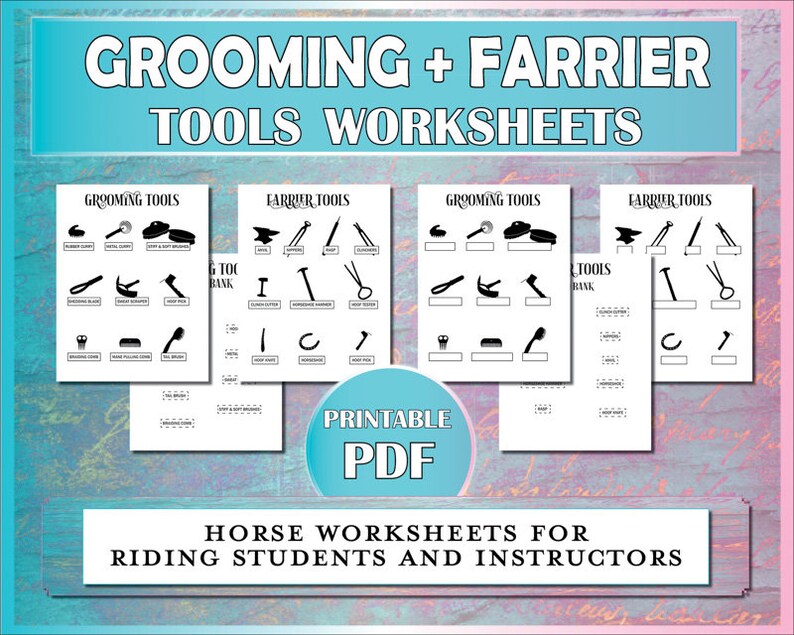 May include: Printable worksheets for horse grooming and farrier tools. The worksheets feature black and white illustrations of tools and a word bank for students to match the tools to their names. The worksheets are labeled "Grooming Tools" and "Farrier Tools".
