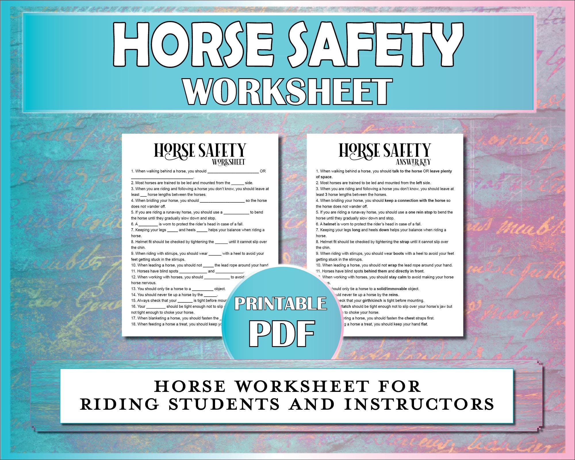 Horse Riding Risk Assessment Example Horse Safety Printable Worksheet, Equestrian Safety Activity for Riding ...