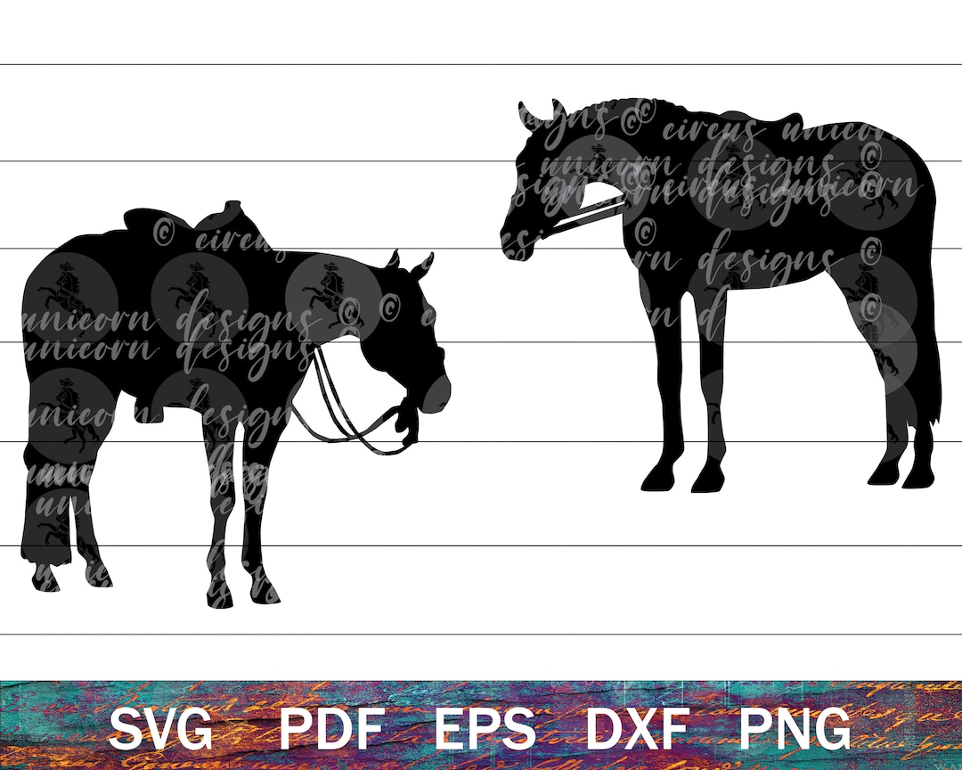 Horse Show SVG for Cricut, English and Western Horse PNG, Western