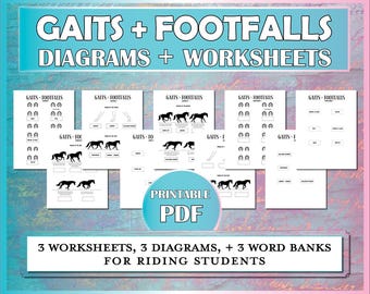 Può includere: Fogli di lavoro e diagrammi stampabili in PDF per imparare le andature e gli appoggi del cavallo. I fogli di lavoro includono diagrammi di cavalli in diverse andature, con cerchi che rappresentano gli appoggi. I diagrammi mostrano le gambe del cavallo in diverse posizioni. Il testo "GAITS + FOOTFALLS" è in cima alla pagina, e "PRINTABLE PDF" è in un cerchio in basso.