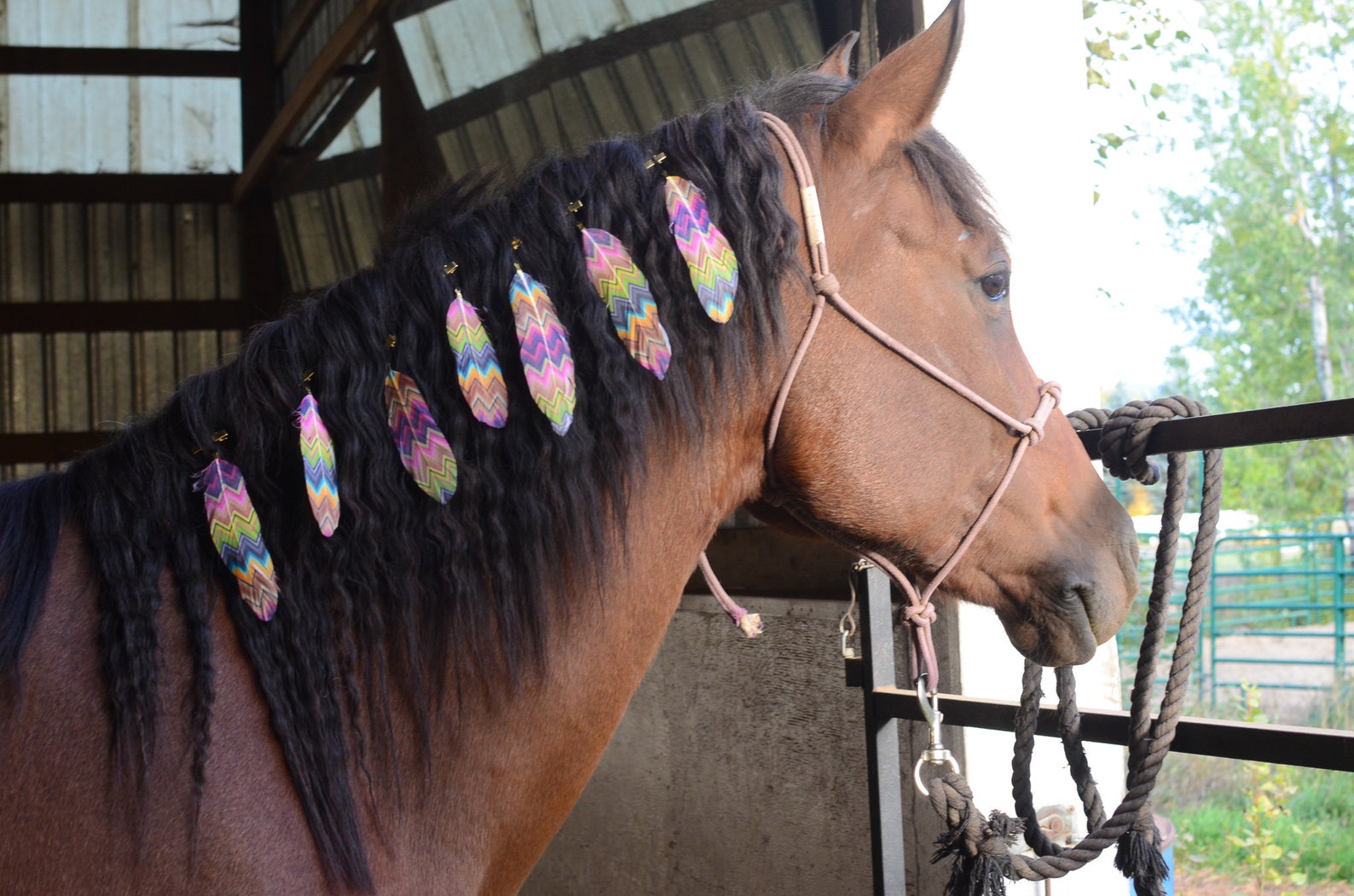 Colorful Plaid Mane Feathers for Horses and Ponies Feather Etsy