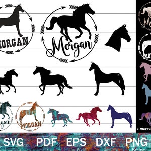 Morgan Horse SVG dla Cricut, Morgan Horse Silhouette Clip Art, Pliki do cięcia jeździeckiego do tworzenia, Rasa koni SVG, Miłośnik koni png