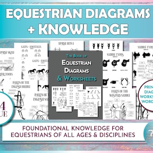 Equestrian Knowledge Diagrams & Worksheets - Horse Diagrams, Equine Worksheets, Horse Parts, Tack Parts, Horseback Riding Lesson Tests