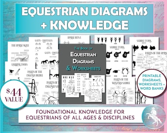 Equestrian Knowledge Diagrams & Worksheets - Horse Diagrams, Equine Worksheets, Horse Parts, Tack Parts, Horseback Riding Lesson Tests
