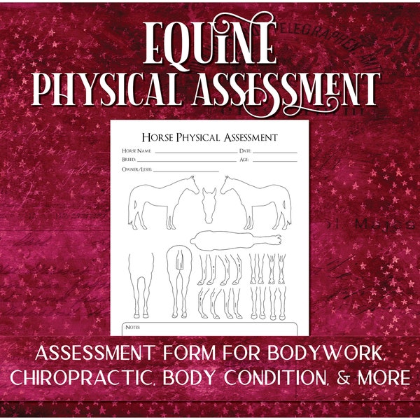 Horse Physical Assessment Form for Equine Body Condition, Bodywork, Chiropractic, Massage, Veterinary Care, Horse Records - PDF Download