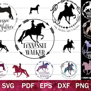 Tennessee Walking Horse SVG bundel, Tennessee Walker Horse illustraties, paard silhouetten PNG bundel, paard gesneden bestand voor Cricut of sublimatie