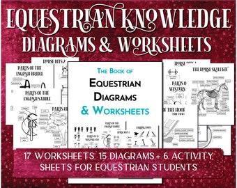 Diagramas y hojas de trabajo de conocimientos ecuestres: diagramas de caballos, hojas de trabajo equinas, piezas de caballos, piezas de arreos, pruebas de lecciones de equitación