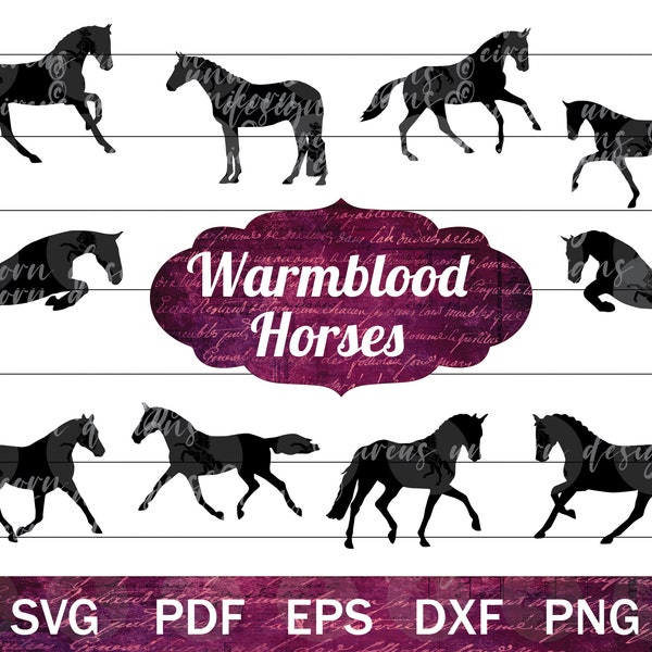 Warmblood Horse SVG for Cricut, Equestrian Clip Art, Dressage Horse SVG, Jumping Horse PNG, Holsteiner, Hanoverian, Westphalian, Trakehner