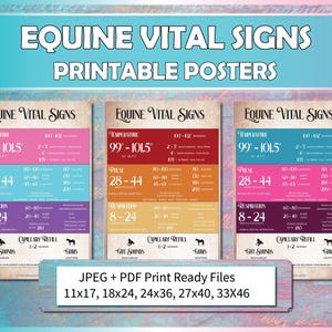 Equine Vital Signs TPR Poster Printable PDF/JPG Bundle | Horse Poster for Equestrian Students, Riding Instructors, Horse Camp