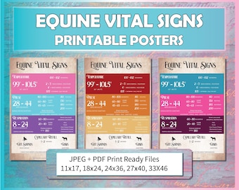 Op de afbeelding: Drie afdrukbare posters met informatie over vitale functies van paarden. Elke poster heeft een ander kleurenschema, waaronder roze, rood en blauw. De posters tonen gegevens over temperatuur, polsslag, ademhaling en capillaire refill.