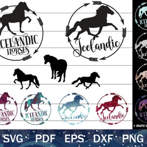 Islandpferd SVG-Bundle, Islandpferd Clip Art, Islandpferd Silhouetten PNG Bundle, Pony Cut-Datei für Cricut oder Sublimation