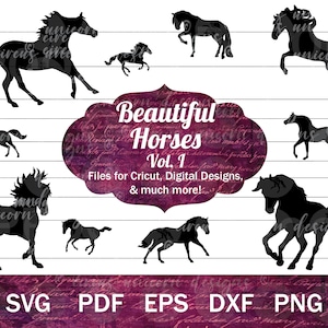 Mooi paard SVG bundel, paardensport illustraties, Arabisch paard PNG, wilde Mustang SVG, paard gesneden bestanden, paarden SVG, paard sticker ontwerpen