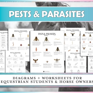 May include: Educational diagrams and worksheets for equestrian students and horse owners. The image features several pages with the title "Pests & Parasites" and diagrams of various insects and parasites. The text "Diagrams + Worksheets for Equestrian Students & Horse Owners" is also visible.