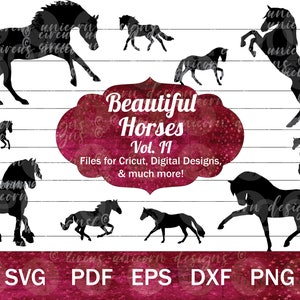 Schönes Pferd SVG Bundle, Pferdesport Clip Art, Aufzucht Pferd PNG, Wild Mustang SVG, Arabisches Pferd Schnittdateien, Pferd Aufkleber Designs