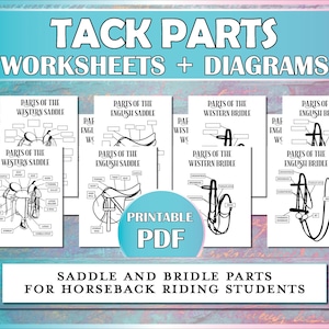 Tack Parts Printable Diagram, Saddle and Bridle Parts Equestrian Printable Worksheet for Horse Camp, Riding Instructors, Lessons & Hippology