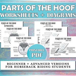 Parts of the Hoof Printable Diagram, Horse Hoof Equestrian Printable Worksheet for Horse Camp, Riding Instructors, Lessons & Hippology