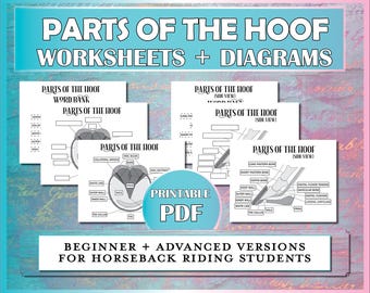 Può includere: Fogli di lavoro e diagrammi stampabili per imparare le diverse parti dello zoccolo di un cavallo. I fogli di lavoro includono un vocabolario e diagrammi dello zoccolo da diverse angolazioni. Il testo "Parti dello zoccolo" e "PDF stampabile" è visibile nell'immagine.
