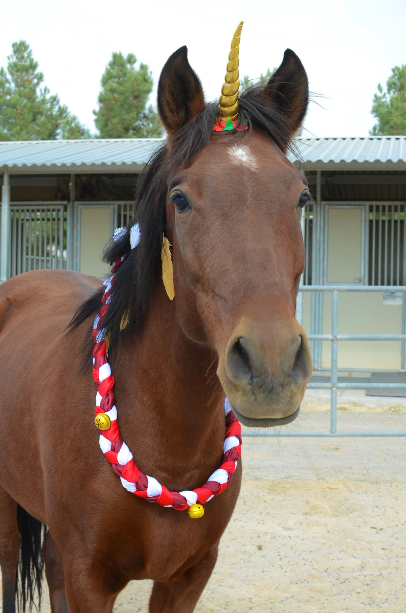 Christmas Neck Wreath for Horse or Pony Holiday Neck Wreath Etsy