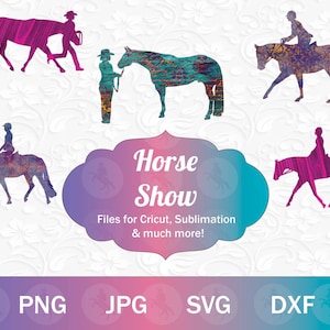 Pferdeshow PNG Bundle Pt.1 | Englisches Pferd Sublimation, Western Pleasure PNG & Hunt Seat Horse Cut Dateien für Crafting, Horse Show Clip Art
