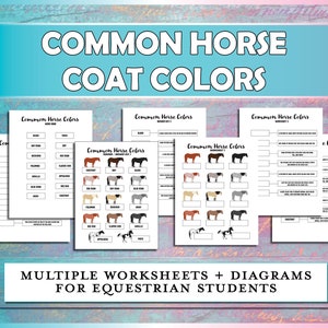 Common Horse Colors Diagrams and Worksheets, Equestrian Printables for Horse Camp, Riding Instructors, Horseback Lessons & Hippology