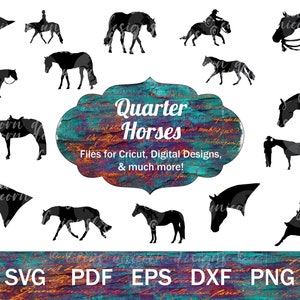 Quarter Horse SVG Bundle, Pferd Show Vektoren, QH Silhouetten, Pferd PNG Bundle, Western Pferd Clip Art, Western Vergnügen svg, Pferd geschnitten Datei