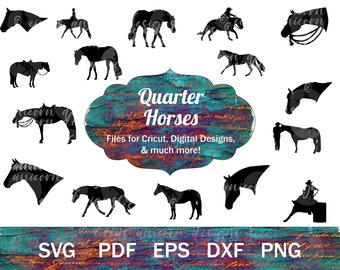 Quarter Horse SVG Bundle, Horse Show Vectors, QH silhouettes, Horse PNG bundle, Western Horse Clip Art, Western Pleasure svg, Horse Cut File