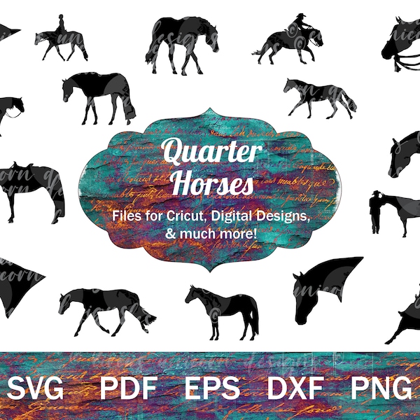 Quarter Horse SVG Bundle, Horse Show Vectors, QH silhouettes, Horse PNG bundle, Western Horse Clip Art, Western Pleasure svg, Horse Cut File