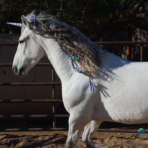 Braided Feather Mane & Tail Accessories for Horse or Pony | Mane Feathers for Horses | Mane Braid | Tail Braid for Horses