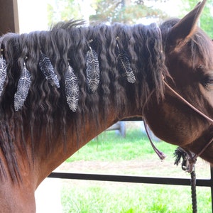 Spiderweb Mane Feathers for Horses and Ponies | Feather Clip Equestrian Accessories for Manes & Tails | Halloween Costume for Horse
