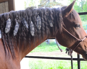 Spinnennetz Mähne Federn für Pferde und Ponys | Federklammer Reiter Accessoires für Mähnen & Schwänze | Halloween Kostüm für Pferd