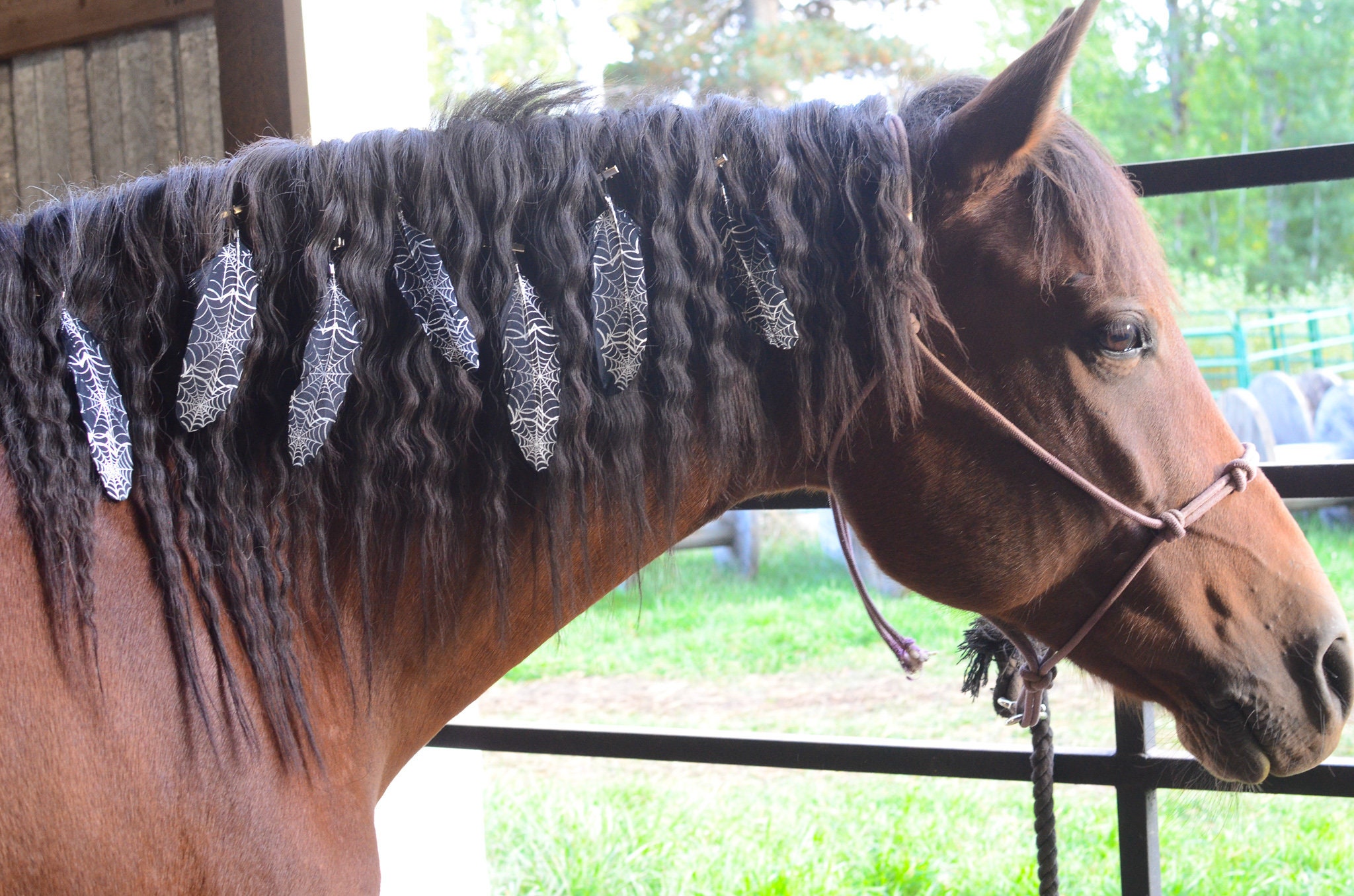 Spiderweb Mane Feathers for Horses and Ponies | Feather Clip