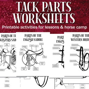 Tack Parts Diagramme imprimable, pièces de selle et de bride Feuille de travail imprimable équestre pour le camp de chevaux, les instructeurs d'équitation, les leçons et l'hippologie