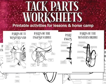 Tack Parts Diagramme imprimable, pièces de selle et de bride Feuille de travail imprimable équestre pour le camp de chevaux, les instructeurs d'équitation, les leçons et l'hippologie