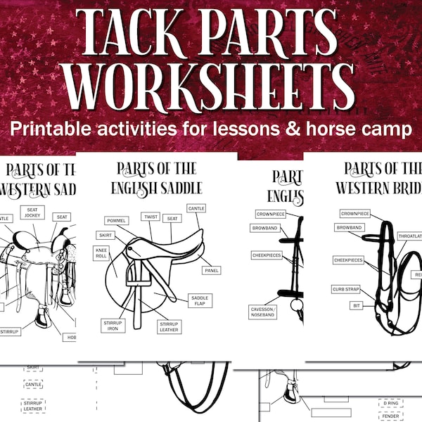 Tack Parts Printable Diagram, Saddle and Bridle Parts Equestrian Printable Worksheet for Horse Camp, Riding Instructors, Lessons & Hippology