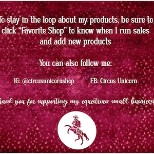 Horse Show SVG for Cricut / Horse Silhouette Vector Files / 10+ Western Pleasure & Hunt Seat Horse Cut Files for Crafting / Clip Art image 10