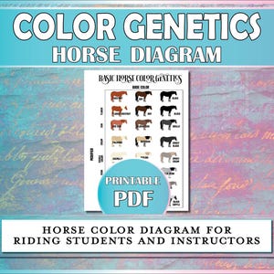 Horse Color Genetics Diagram, Equestrian Printables for Horse Camp, Riding Instructors, Horseback Lessons & Hippology, Colors of the Horse