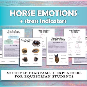 Horse Emotions Study Guide, Equestrian Printables for Horse Camp, Riding Instructors, Horseback Lessons & Hippology, Horse Training PDF