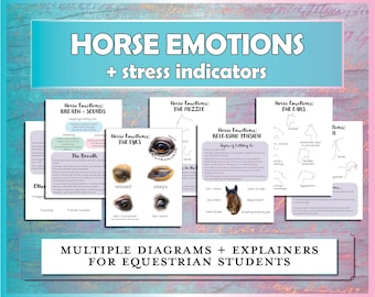 Guía de estudio sobre las emociones de los caballos, imprimibles ecuestres para campamentos, instructores de equitación, clases de equitación e hipología, entrenamiento de caballos (PDF)