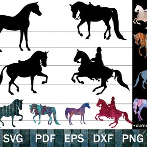 Arabisches Pferd SVG-Bundle, Arabisches Pferd Clip Art, Arabische Pferdeshow Silhouetten PNG Bundle, Arabische Show Pferdeschnittdatei oder Sublimation