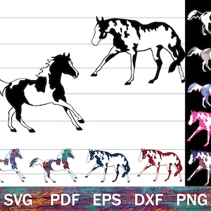 Paint Horse SVG für Cricut, Pinto Pferd SVG, Horse Show SVG, Horse Show Clip Art, Pinto svg, Paint Horse png dxf, Western Pferd svg
