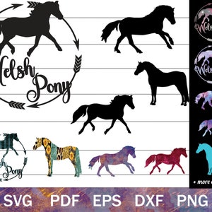 Welsh Pony SVG Bundle, Show Pony Clip Art, Welsh Pony silhouettes PNG bundle, Welsh Pony Cut File and Sublimation, Equestrian Graphics